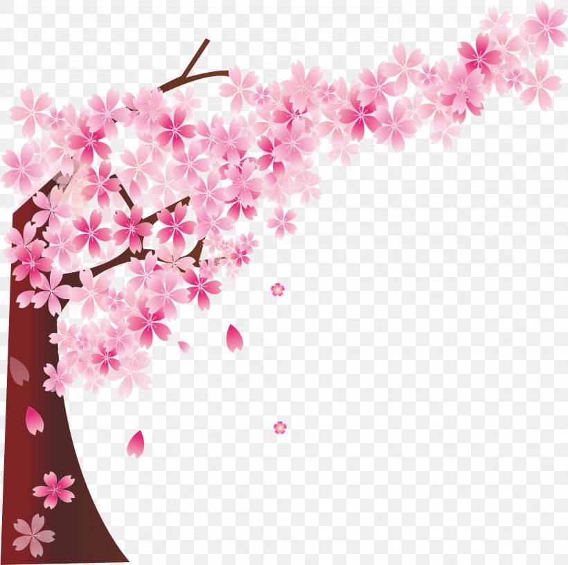 Cherry Blossom Cerasus, PNG, 4112x4092px, National Cherry Blossom Festival, Blossom, Branch, Cerasus, Cherry Download Free