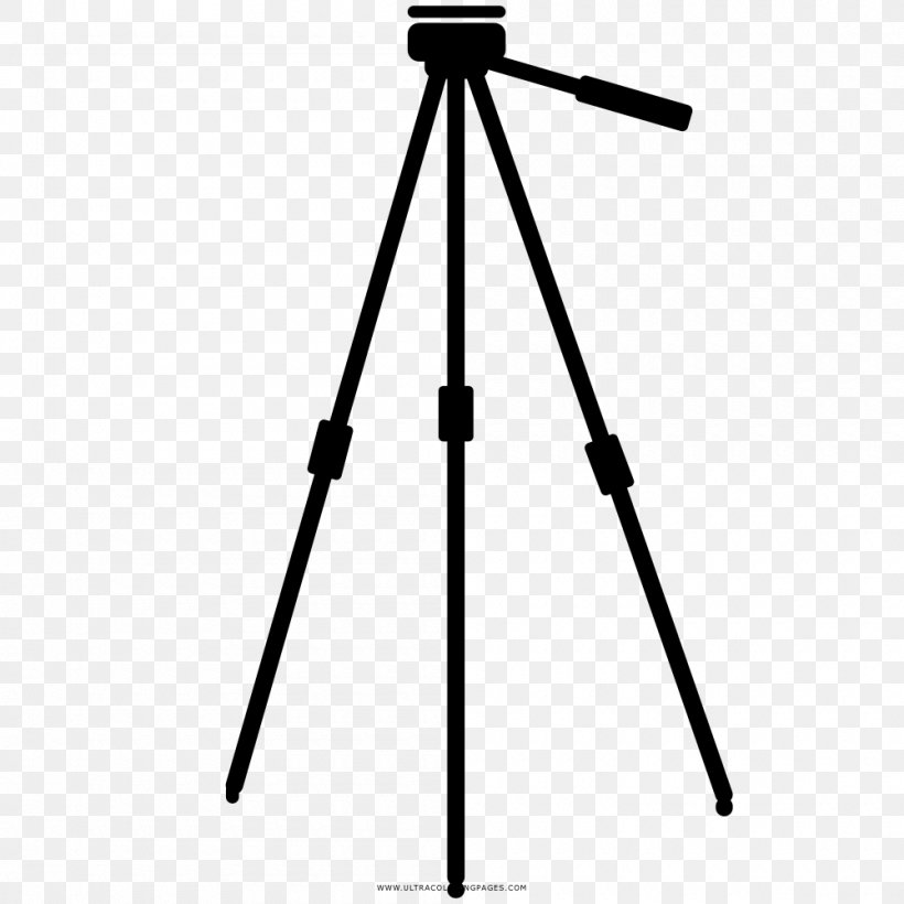 Tripod Head Photography Monopod Benro, PNG, 1000x1000px, Tripod, Aluminium, Ball Head, Benro, Camcorder Download Free