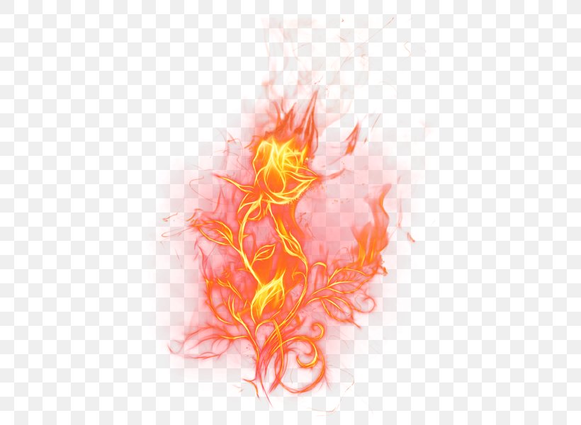 Flame Fire Rose Clip Art, PNG, 425x600px, Flame, Alpha Compositing, Art, Blue Rose, Combustion Download Free