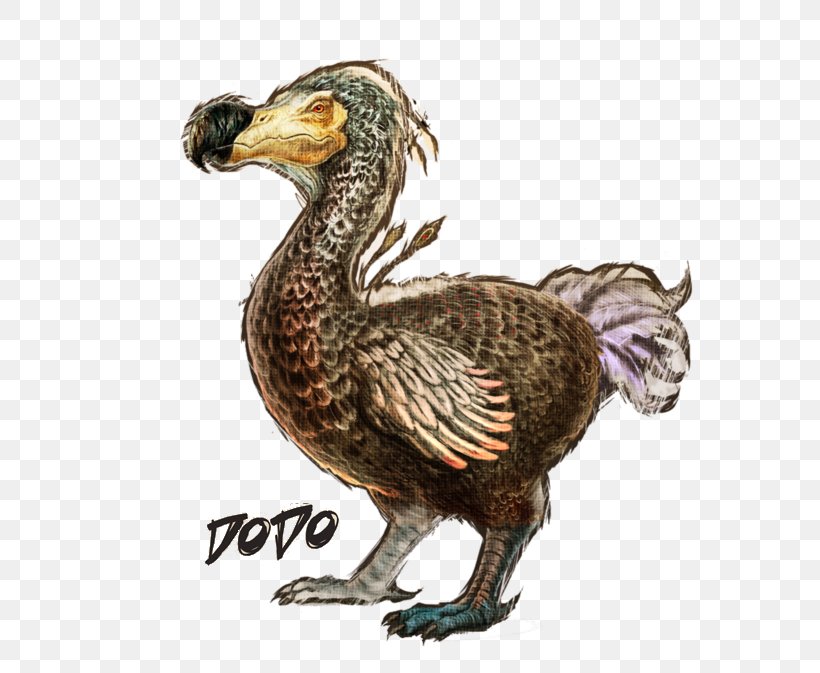 ARK: Survival Evolved Dodo Allosaurus Mosasaurus Dinosaur, PNG, 751x673px, Ark Survival Evolved, Allosaurus, Beak, Bird, Bird Of Prey Download Free