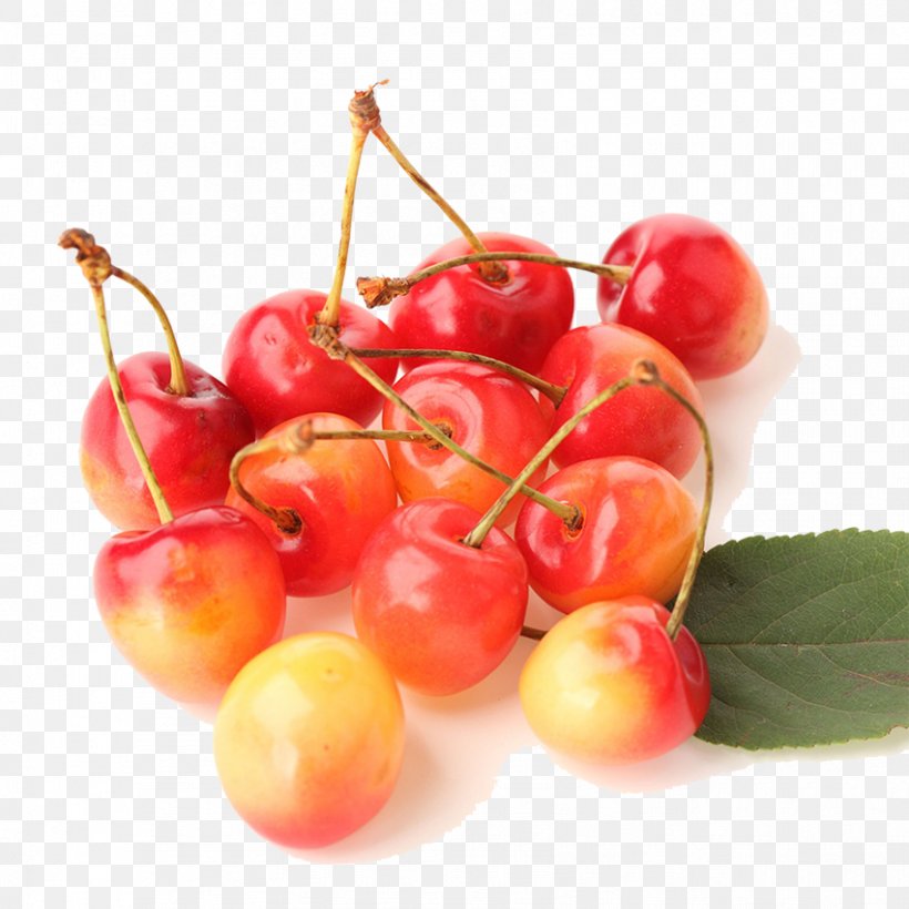 Barbados Cherry Sweet Cherry Rainier Cherry Prunus Tomentosa, PNG, 851x851px, Barbados Cherry, Acerola, Acerola Family, Aedmaasikas, Auglis Download Free