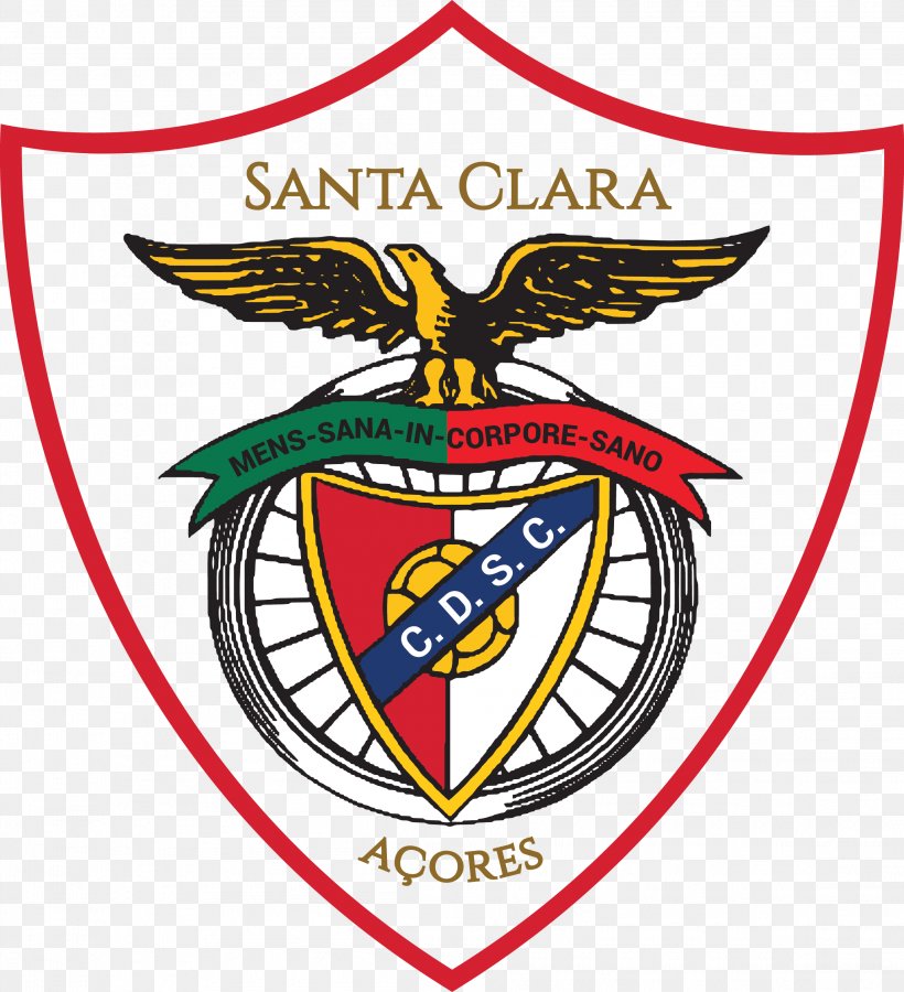 C.D. Santa Clara Estádio De São Miguel Primeira Liga Real S.C. LigaPro, PNG, 2292x2518px, Primeira Liga, Area, Artwork, Azores, Beak Download Free