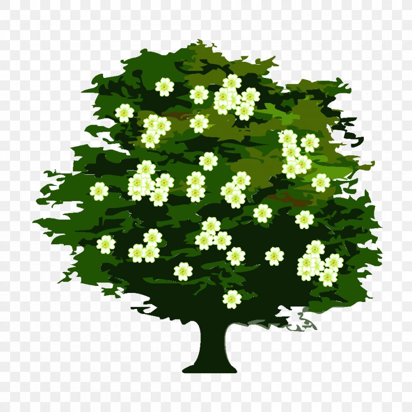 Tree Usucaption Shrub Statute Of Limitations Viburnum, PNG, 1000x1000px, Tree, Annual Plant, Drawing, English, Flower Download Free