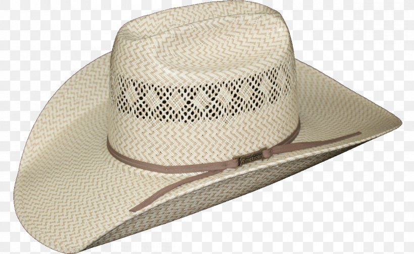 American Hat Company Straw Hat Cowboy Hat Cap, PNG, 1200x738px, Hat, American Hat Company, Business, Cap, Cowboy Download Free