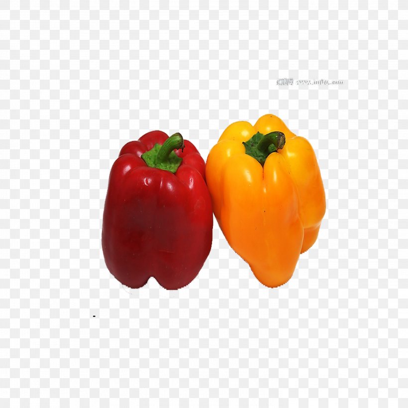 Habanero Bell Pepper Vegetable Chili Pepper Fruit, PNG, 2953x2953px, Habanero, Bell Pepper, Bell Peppers And Chili Peppers, Capsicum, Cellophane Noodles Download Free
