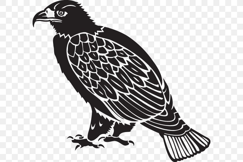 Hawk Eagle House Furniture Vulture, PNG, 600x547px, Hawk, Beak, Bird, Bird Of Prey, Black And White Download Free