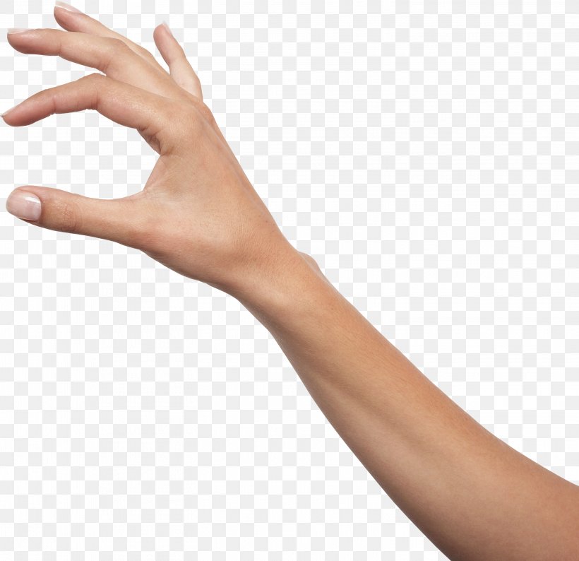 Holding Hands Icon, PNG, 3039x2944px, Hand, Arm, Clipping Path, Finger, Gesture Download Free