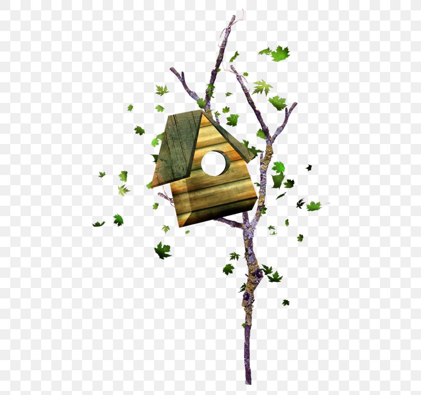 Nest Box Animation Clip Art, PNG, 493x768px, Nest Box, Animation, Bird, Bird Nest, Branch Download Free