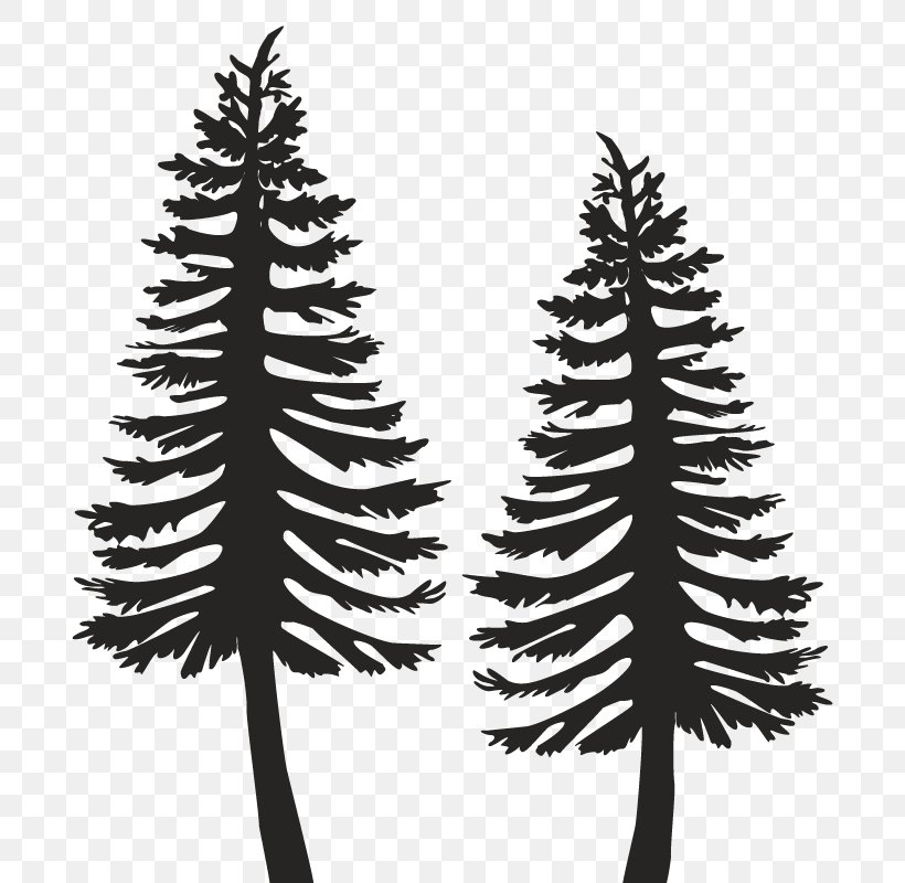 Spruce Pine Fir Christmas Tree Christmas Ornament, PNG, 800x800px, Spruce, Black And White, Book, Branch, Christmas Download Free