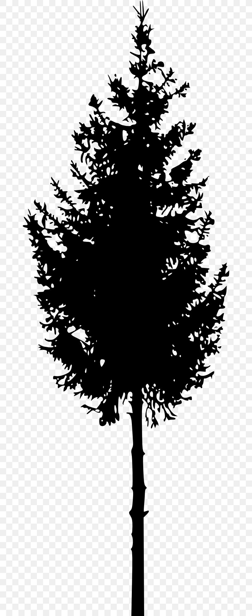 Tree Silhouette Woody Plant Clip Art, PNG, 672x2000px, Tree, Black And White, Branch, Christmas Tree, Conifer Download Free