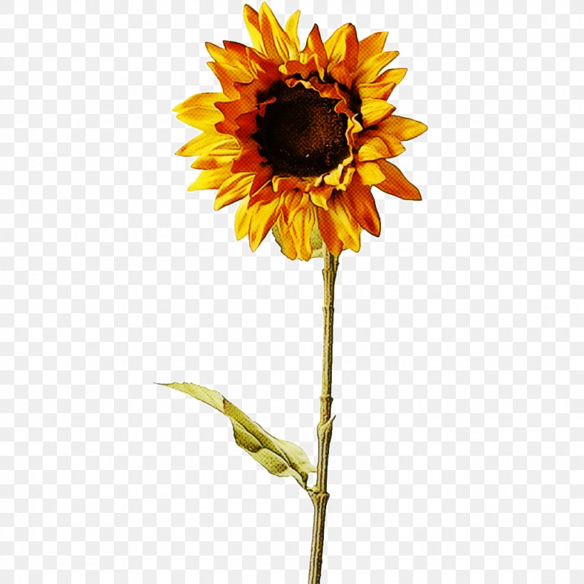 Artificial Flower, PNG, 1024x1024px, Common Sunflower, Aesthetics, Artificial Flower, Chrysanthemum, Flower Download Free
