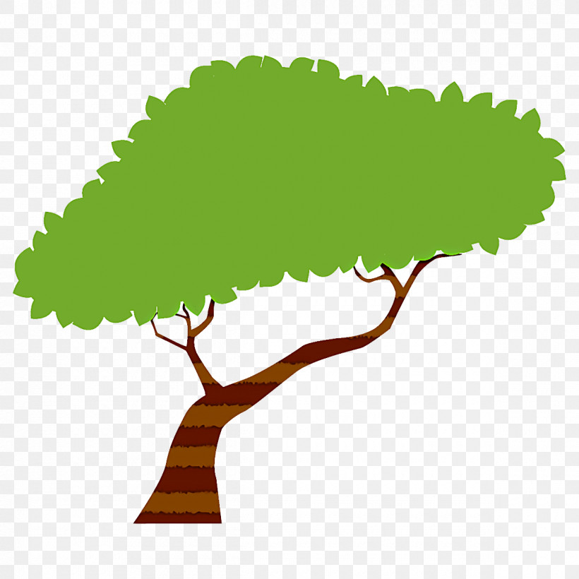 Leaf Green Tree Plant Woody Plant, PNG, 1200x1200px, Broadleaf Tree, Branch, Cartoon Tree, Elm, Green Download Free