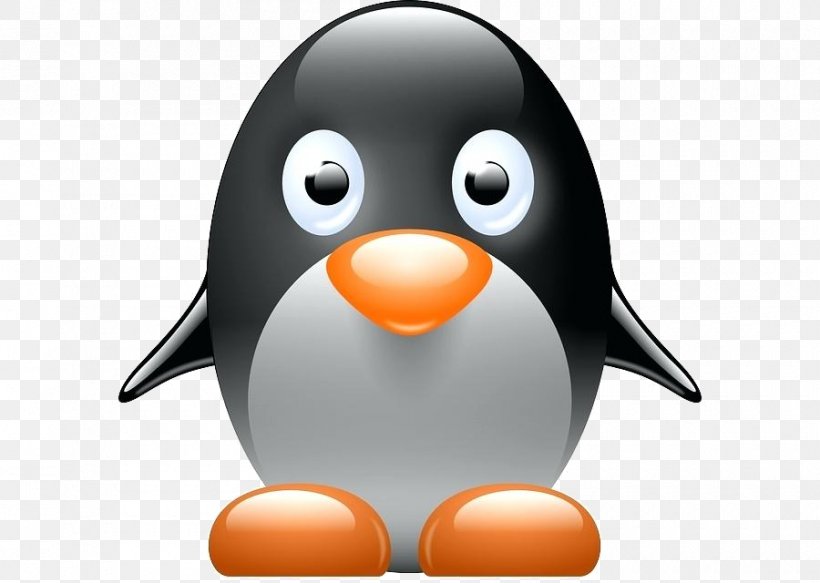 Penguin, PNG, 900x640px, Flightless Bird, Animation, Beak, Bird, Cartoon Download Free