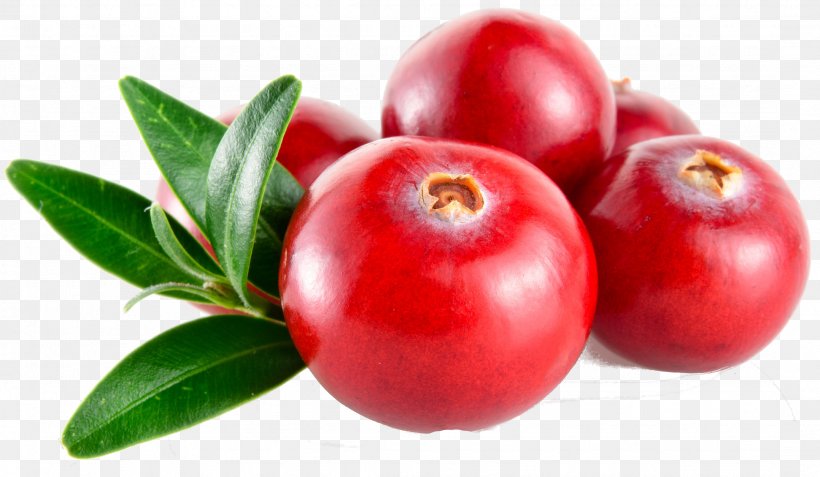 Barbados Cherry Cranberry Juice Lingonberry Huckleberry, PNG, 2156x1256px, Barbados Cherry, Accessory Fruit, Acerola, Acerola Family, Apple Download Free