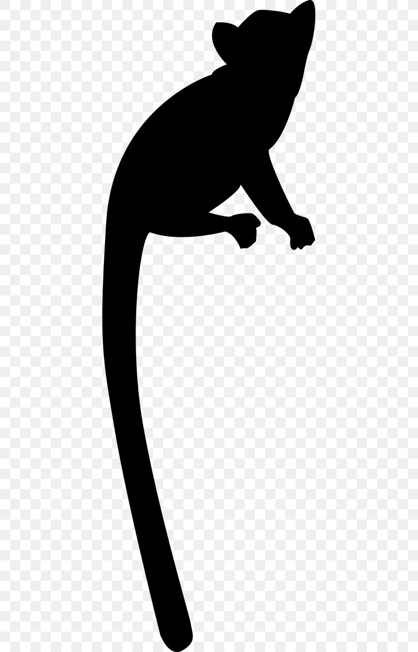 Cat Lemurs Primate Silhouette Clip Art, PNG, 640x1280px, Cat, Ayeaye, Black, Black And White, Black Lemur Download Free