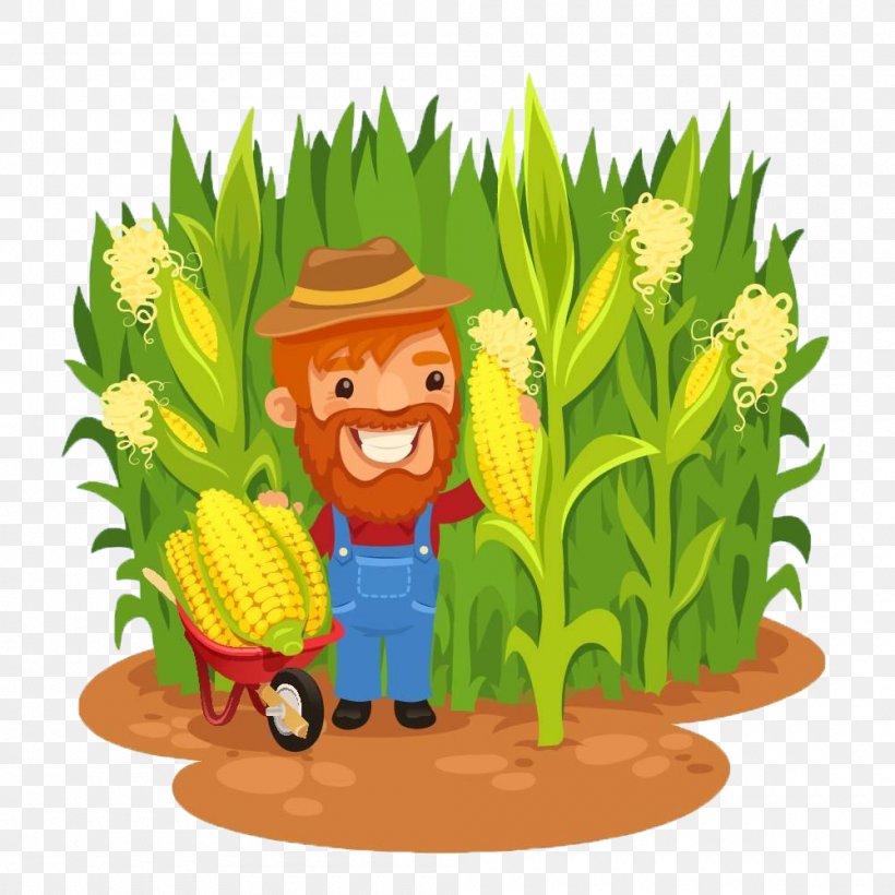 Maize Farmer Field Corn Clip Art, PNG, 1000x1000px, Maize, Agriculture, Art, Cartoon, Commodity Download Free