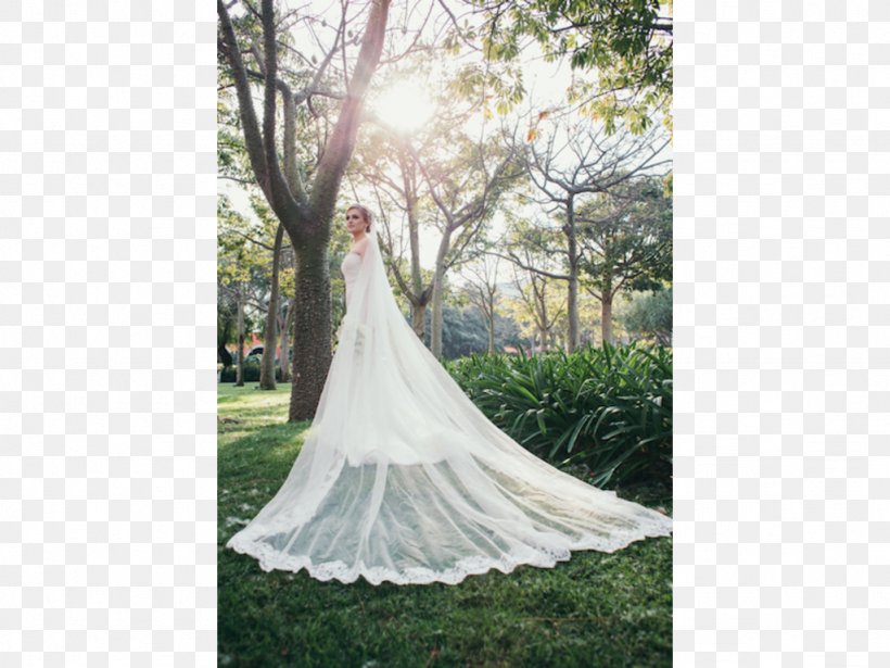 Wedding Dress Bride Gown, PNG, 1024x768px, Wedding Dress, Bridal Accessory, Bridal Clothing, Bride, Dress Download Free