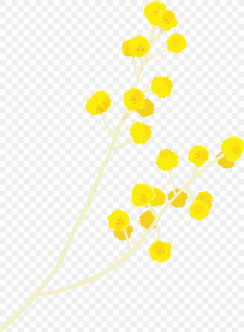 Yellow Flower Plant Chamomile Pedicel, PNG, 2205x3000px, Yellow, Chamomile, Flower, Pedicel, Plant Download Free