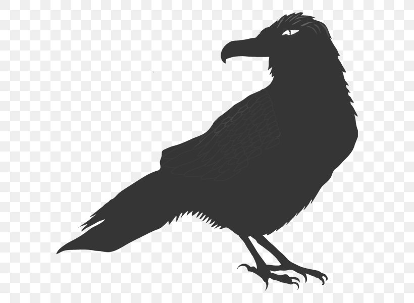 Raven, PNG, 600x600px, Common Raven, Beak, Bird, Black And White, Crow Download Free