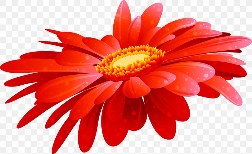 Transvaal Daisy Blog Clip Art, PNG, 1200x735px, Transvaal Daisy, Blog, Chrysanths, Cut Flowers, Dahlia Download Free