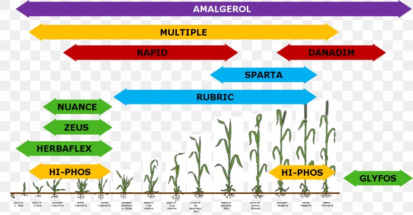 Winter Cereal Triticale Agriculture Fungicide, PNG, 1429x744px, Winter Cereal, Agricultural Machinery, Agriculture, Area, Brand Download Free