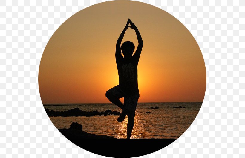 Yoga Exercise Asana Health Balance, PNG, 563x532px, Yoga, Asana, Balance, Barre, Exercise Download Free