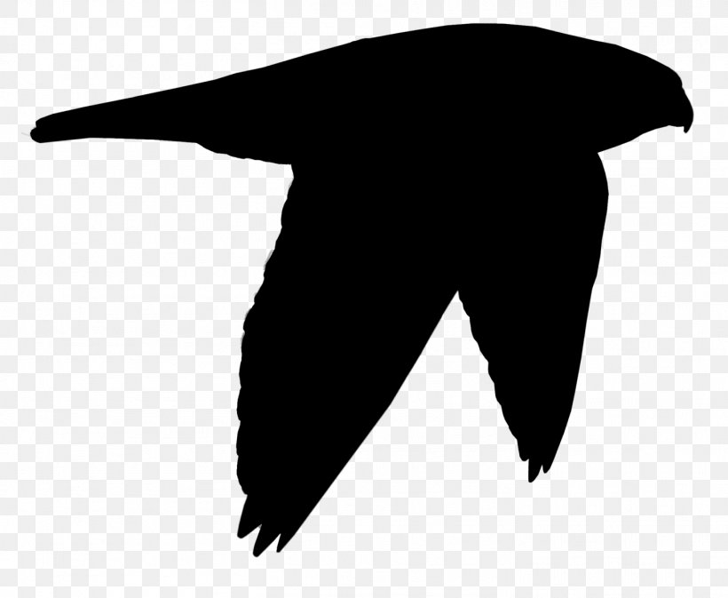 Beak Clip Art Black Bird Silhouette, PNG, 1462x1200px, Beak, Bird, Black, Black M, Blackandwhite Download Free