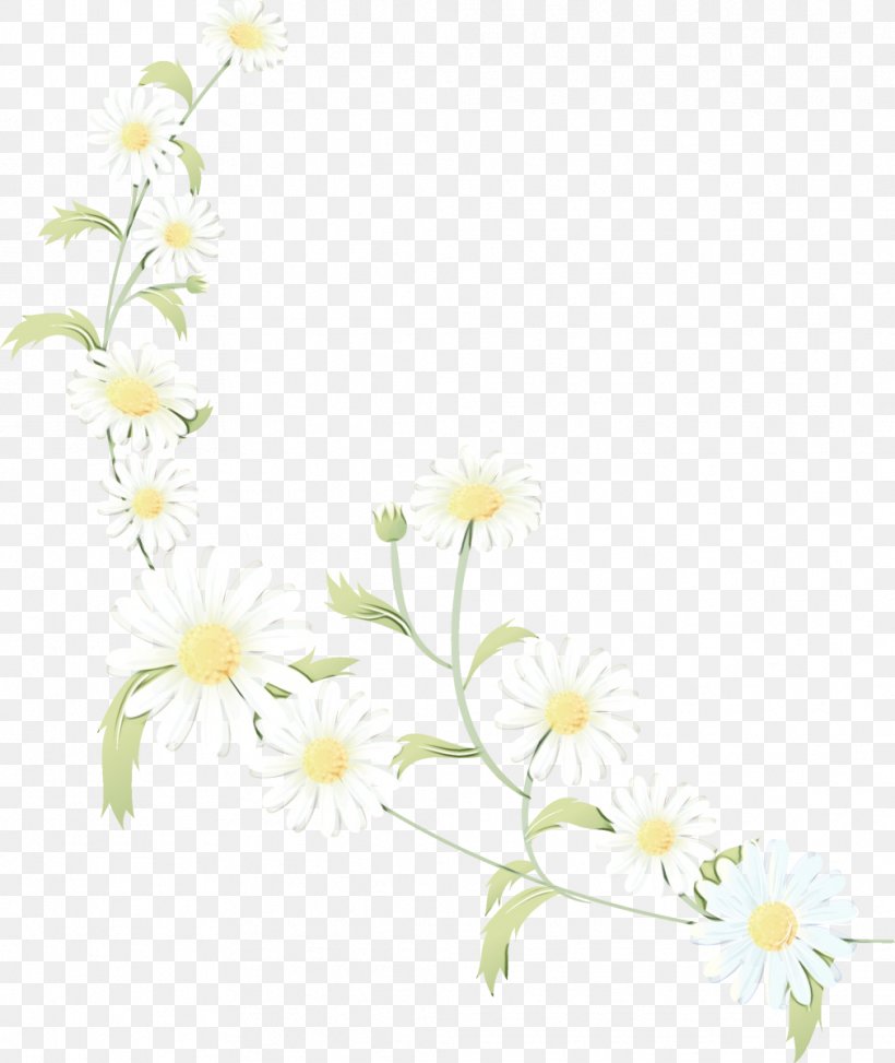 Flowers Background, PNG, 1011x1200px, Floral Design, Blossom, Branch, Camomile, Chamomile Download Free