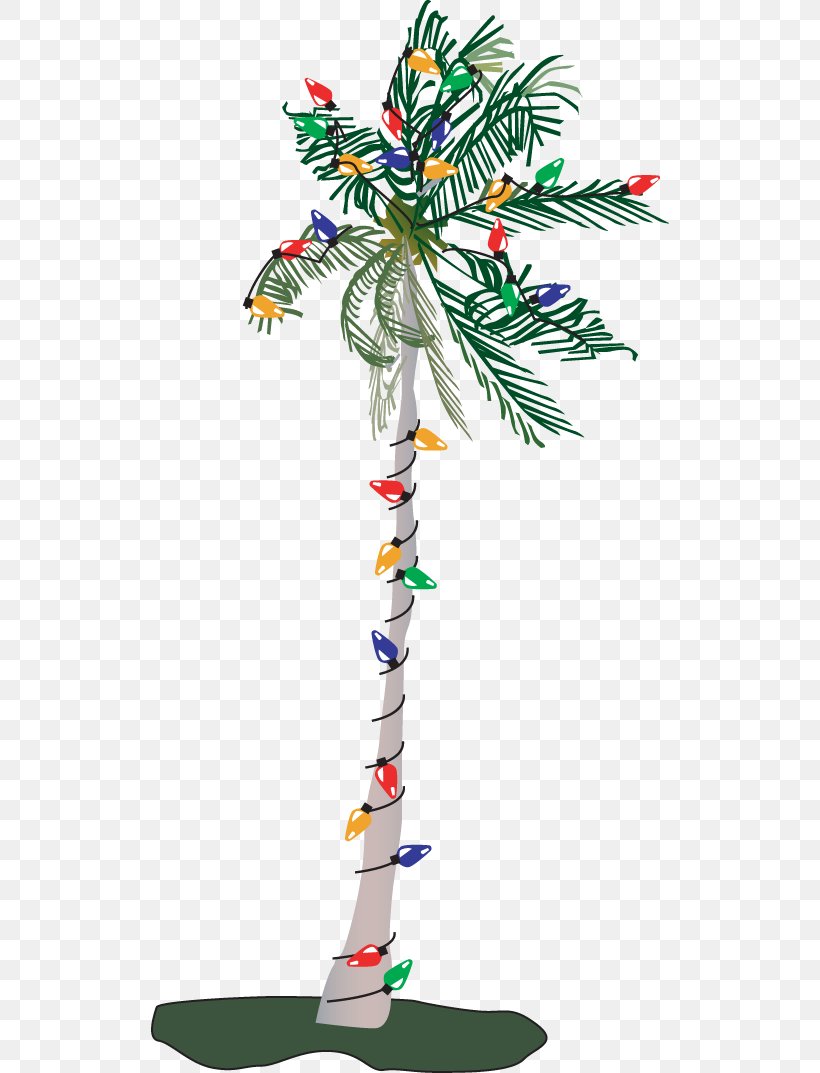 Adonidia Christmas Tree Clip Art, PNG, 518x1073px, Adonidia, Arecaceae, Branch, Cartoon, Christmas Download Free