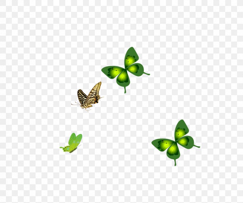 Butterfly Insect Green Membrane Pattern, PNG, 1701x1417px, Butterfly, Green, Insect, Invertebrate, Leaf Download Free