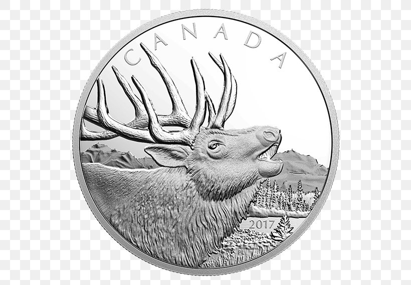 Silver Coin Canada Elk Silver Coin, PNG, 570x570px, 2017, Coin, Animal, Antler, Black And White Download Free