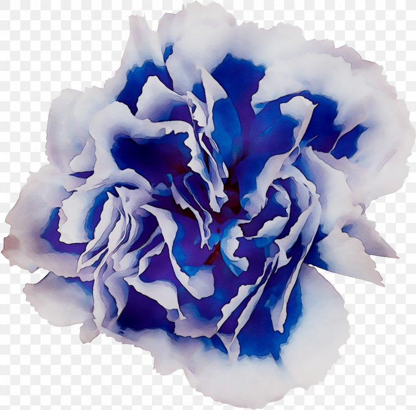 Blue Rose Cabbage Rose Cut Flowers, PNG, 1381x1364px, Blue Rose, Artificial Flower, Blue, Bouquet, Cabbage Rose Download Free