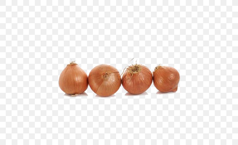 Red Onion Download Google Images, PNG, 500x500px, Onion, Google Images, Ingredient, Orange, Peach Download Free