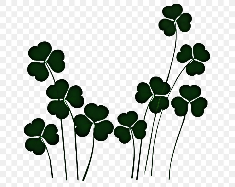 St Patricks Day, PNG, 700x655px, Saint Patricks Day, Clover, Dutch Clover, Flower, Fourleaf Clover Download Free