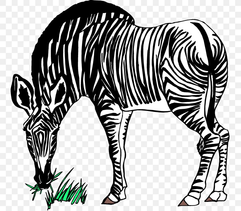 Zebra Free Content Stock.xchng Clip Art, PNG, 750x717px, Zebra, Big Cats, Black, Black And White, Fauna Download Free