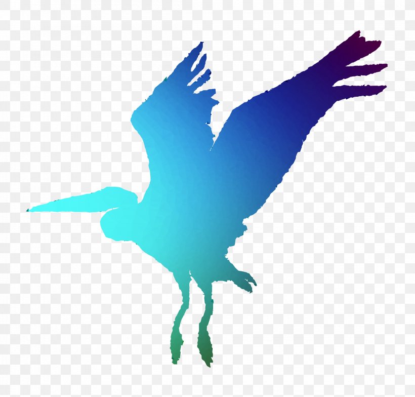 Blue Heron Therapeutics Green Heron Beak Bird, PNG, 2300x2200px, Heron, Beak, Bird, Feather, Fernandina Beach Download Free