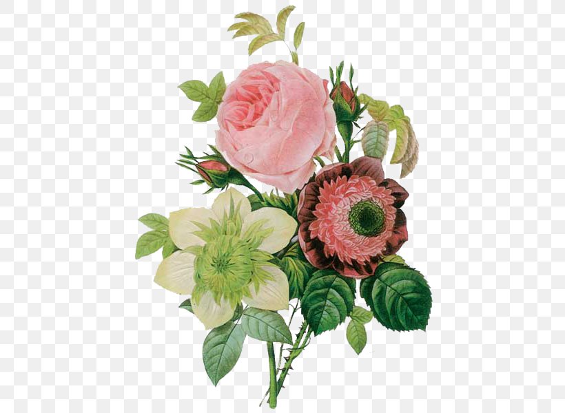 Flowers Pierre-Joseph Redouté (1759-1840) Roses Painter Painting, PNG, 455x600px, Flowers, Art, Artificial Flower, Artist, Botanical Illustration Download Free