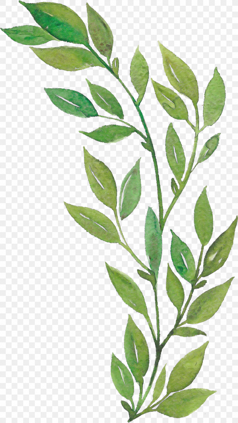 Leaf Twig Plant Stem Cartoon Logo, PNG, 1500x2668px, Leaf, Black And White, Calle Margaritas Manzana, Cartoon, Logo Download Free