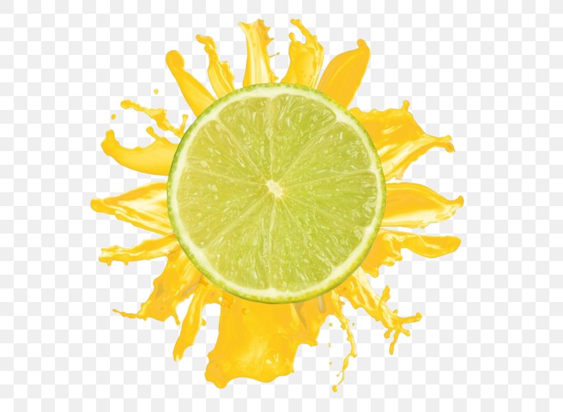 Lemon Orange Juice Cocktail Mojito, PNG, 600x600px, Lemon, Citric Acid, Citron, Citrus, Citrus Junos Download Free