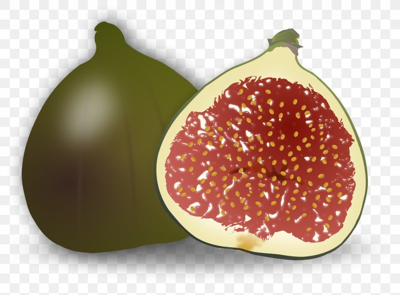 Common Fig Weeping Fig Fruit Clip Art, PNG, 1600x1179px, Common Fig, Accessory Fruit, Diet Food, Fig Leaf, Fig Trees Download Free