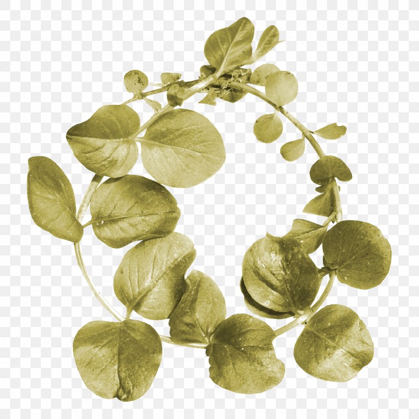 Leaf Clip Art, PNG, 1500x1500px, Leaf, Chinese New Year, Green, New Year Card, Petal Download Free