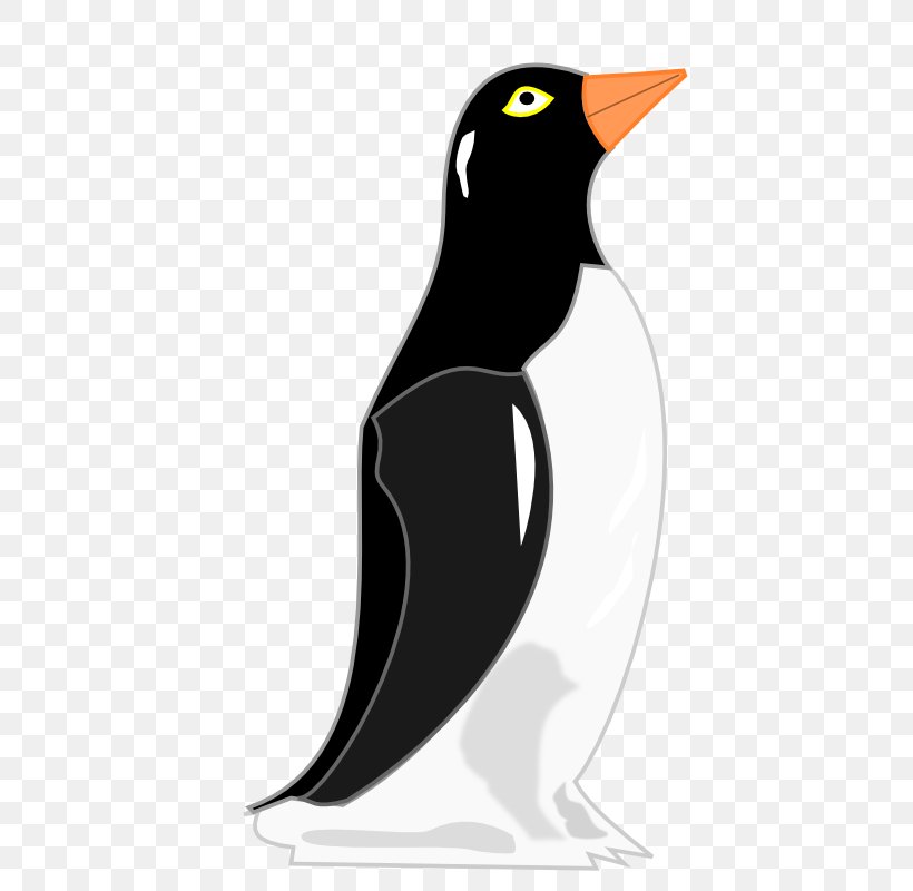 Penguin Bird Clip Art, PNG, 800x800px, Penguin, Beak, Bird, Drawing, Flightless Bird Download Free