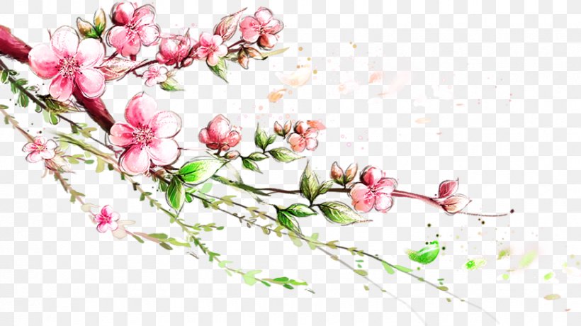 Branch Blossom, PNG, 868x487px, Branch, Blossom, Cherry Blossom, Cut Flowers, Flora Download Free