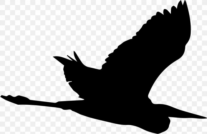 Crane Bird Great Blue Heron Silhouette, PNG, 981x634px, Crane, Beak, Bird, Bird Flight, Black And White Download Free