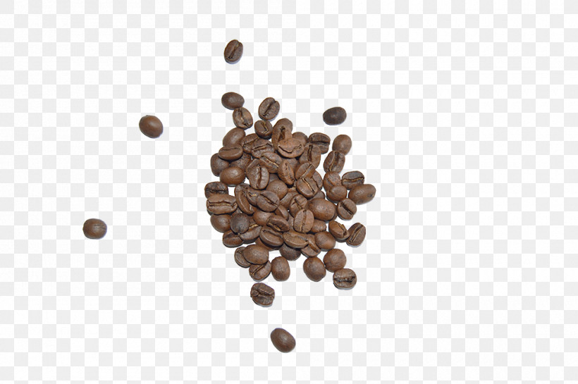 Food Plant Seed Spice, PNG, 1000x665px, Food, Plant, Seed, Spice Download Free