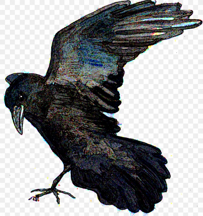 American Crow New Caledonian Crow Rook Bald Eagle Common Raven, PNG, 1422x1517px, American Crow, Animal, Bald Eagle, Beak, Bird Download Free