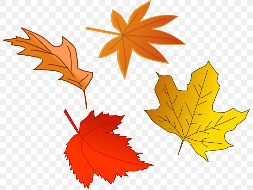 Autumn Leaf Color The Leaves Are Falling One By One Clip Art, PNG, 800x615px, Autumn, Autumn Leaf Color, Blog, Color, Drawing Download Free