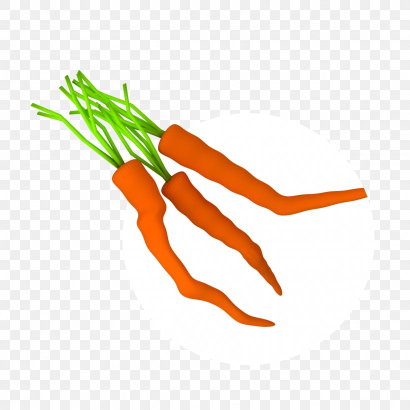 Baby Carrot Line Clip Art, PNG, 2480x2480px, Baby Carrot, Carrot, Food, Orange, Vegetable Download Free