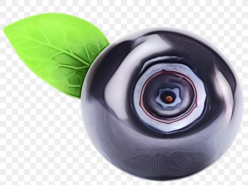 Eye Plant, PNG, 875x655px, Watercolor, Eye, Paint, Plant, Wet Ink Download Free