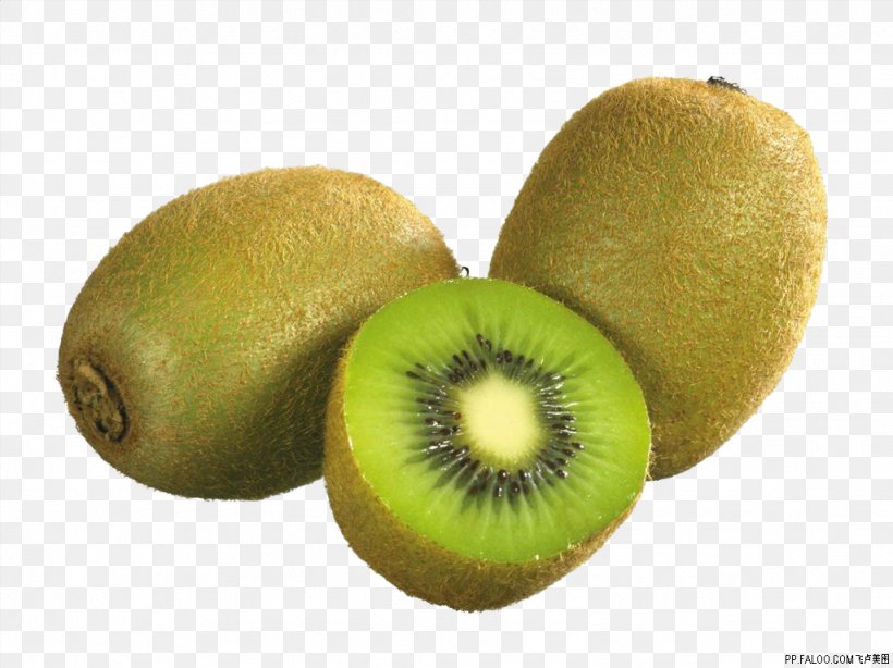 Kiwifruit Vecteur, PNG, 1024x767px, Kiwifruit, Food, Fruit, Galia, Kiwi Download Free